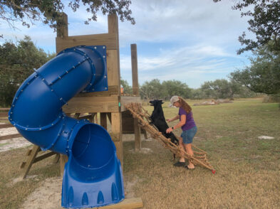 Dog using climbing rope for training