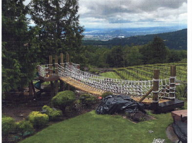 Bridge with nets on a Vineyard