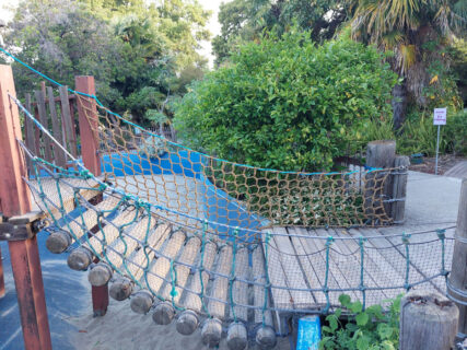 Rope for a bridge at a park